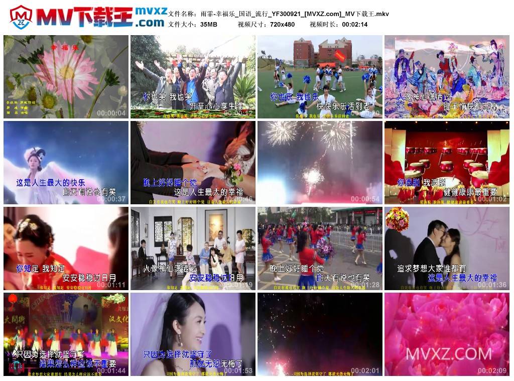 雨霏-幸福乐_国语_流行_YF300921